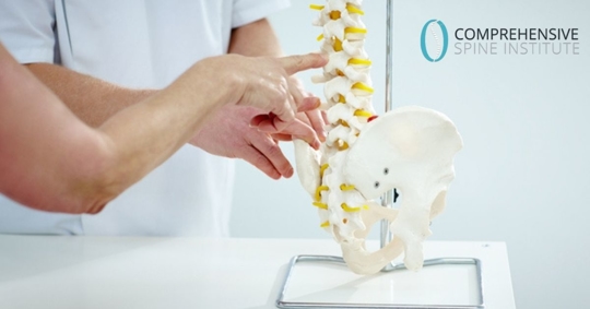 doctor and patient looking at spine replica