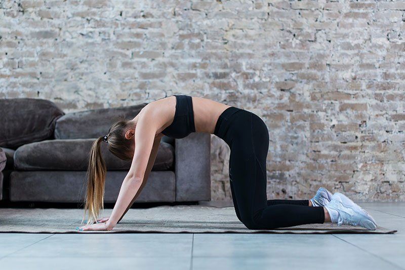 Cat-cow pose yoga stretches